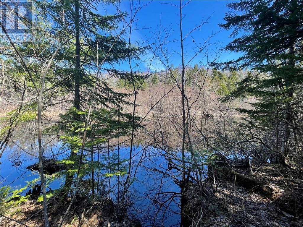 Lot Route 126, Rogersville, New Brunswick  E4Y 2N8 - Photo 28 - M156681