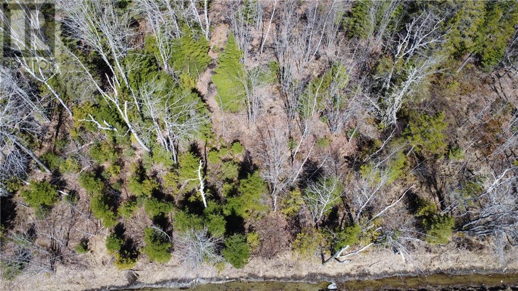 Lot Saint-Pierre Road, Rogersville, New Brunswick  E4Y 1L3 - Photo 3 - M157348