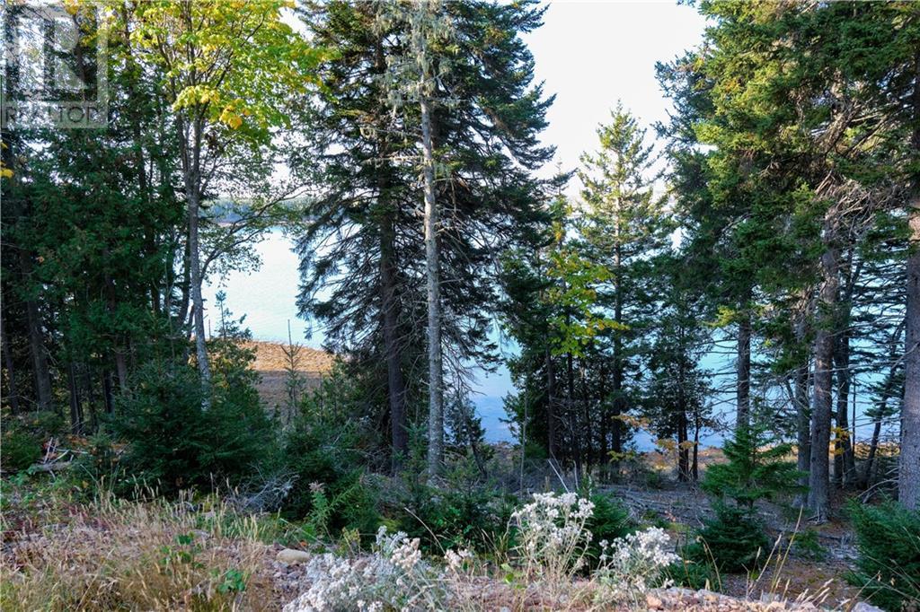 Lot 23 Osprey Drive, Chamcook, New Brunswick  E5B 0E9 - Photo 2 - M157570