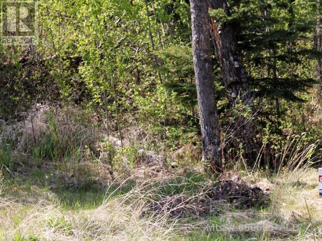 Lot 2 Blk 5 LAKESIDE Drive, perch lake, Saskatchewan