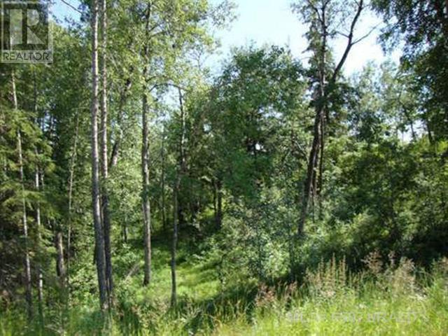 Lot 4 Blk 5 LAKESIDE Drive, perch lake, Saskatchewan