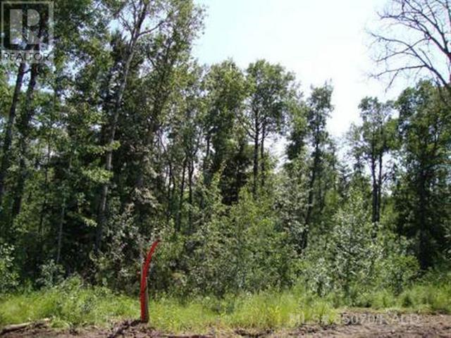 Lot 3 Blk 5 LAKESIDE Drive, perch lake, Saskatchewan