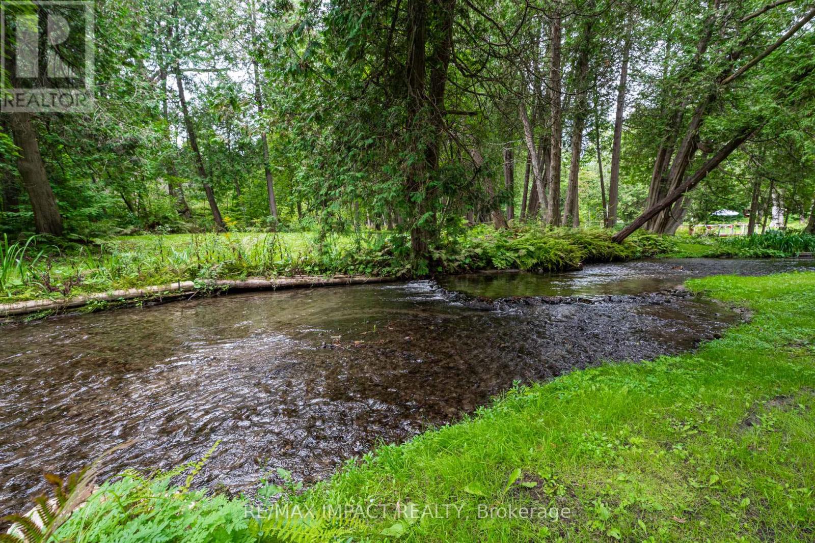 7492 Leskard Road, Clarington (Orono), Ontario  L0B 1M0 - Photo 39 - E9282471