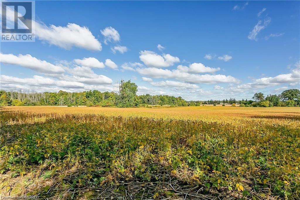 523 Mines Road, Caledonia, Ontario  N3W 1X6 - Photo 46 - 40639200