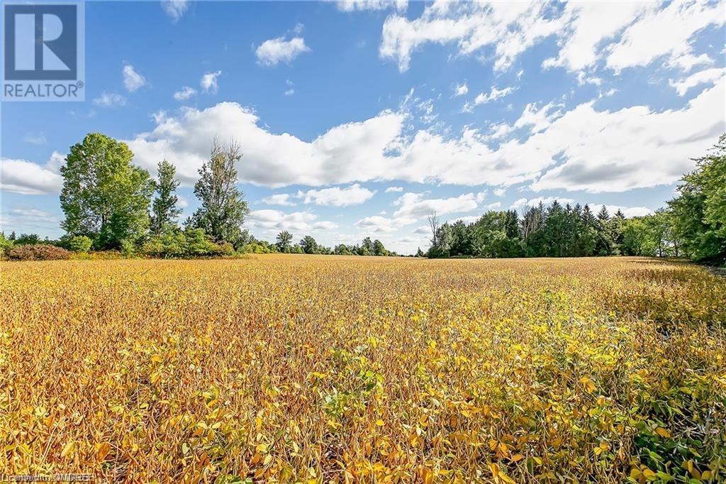 523 Mines Road, Caledonia, Ontario  N3W 1X6 - Photo 44 - 40639200