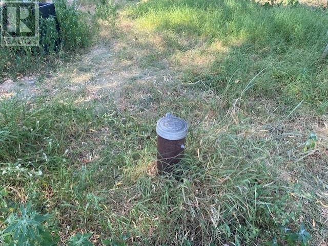 9877 Latremouille Street, Little Fort, British Columbia  V0E 2C0 - Photo 21 - 180044