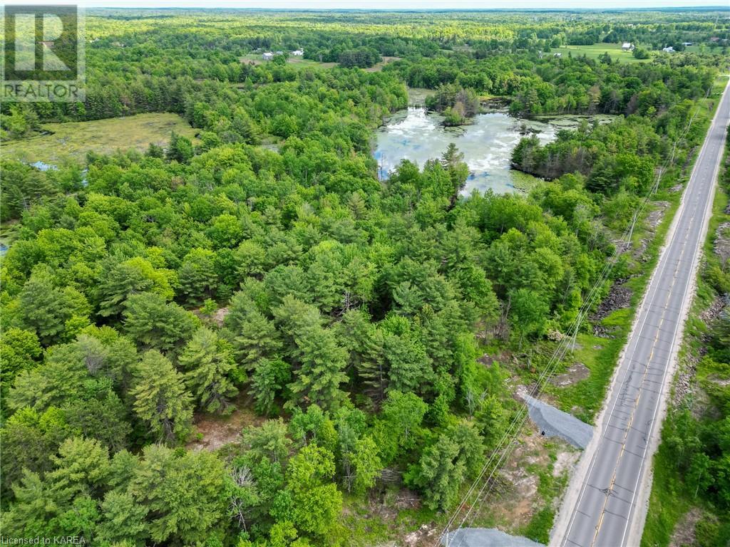 9800 Highway 38, Godfrey, Ontario  K0H 1T0 - Photo 5 - 40638962