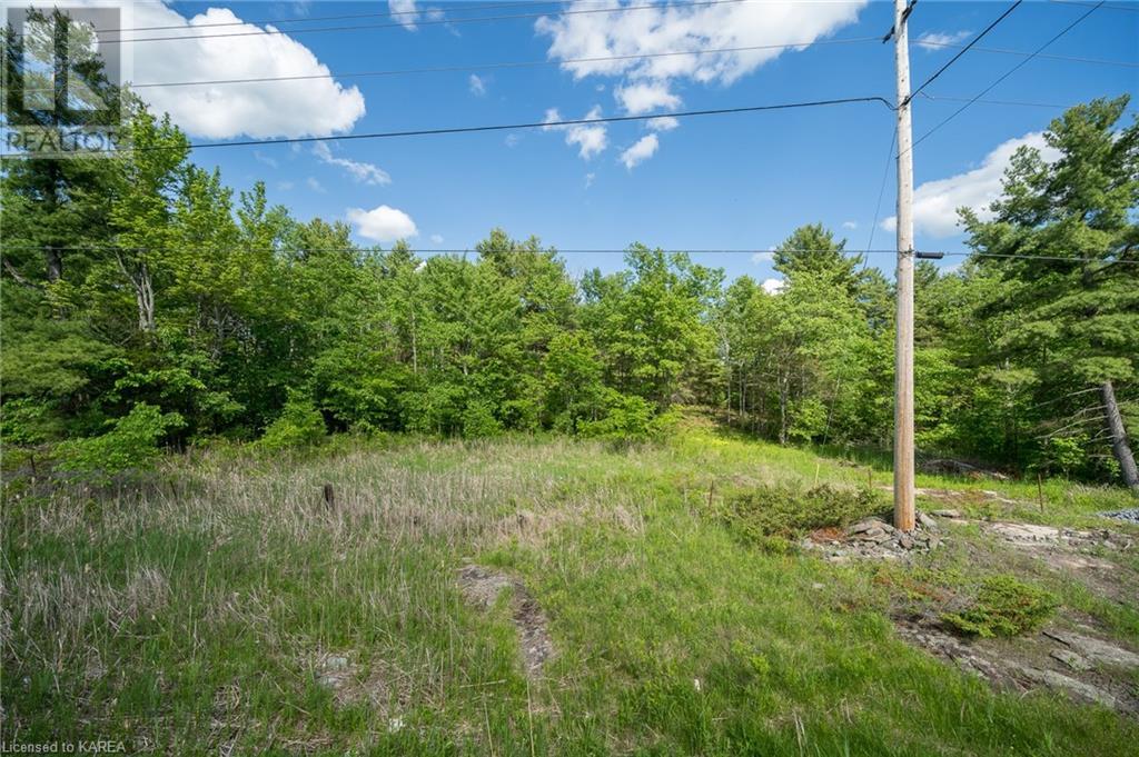 9804 Highway 38, Godfrey, Ontario  K0H 1T0 - Photo 5 - 40638954