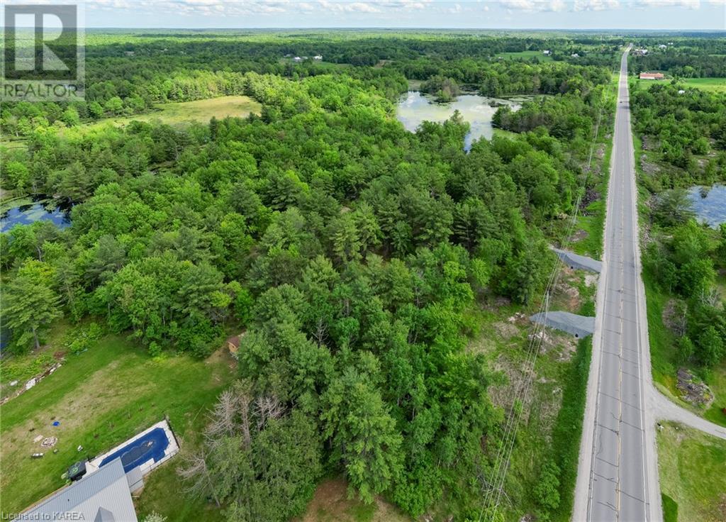 9804 Highway 38, Godfrey, Ontario  K0H 1T0 - Photo 6 - 40638954