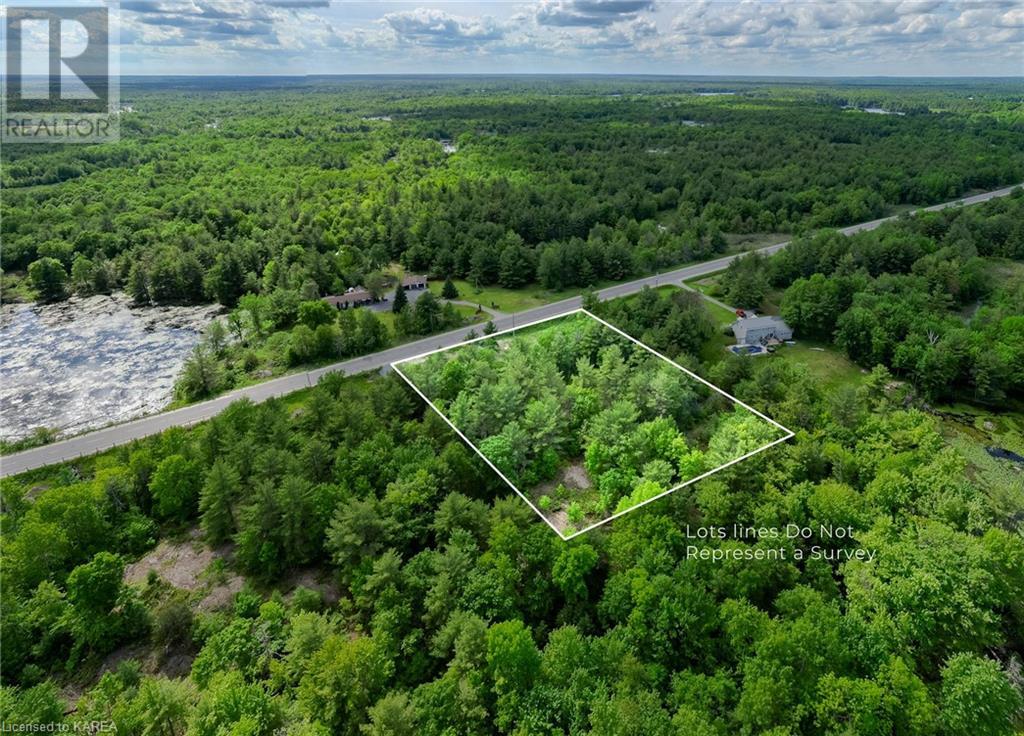 9804 Highway 38, Godfrey, Ontario  K0H 1T0 - Photo 10 - 40638954