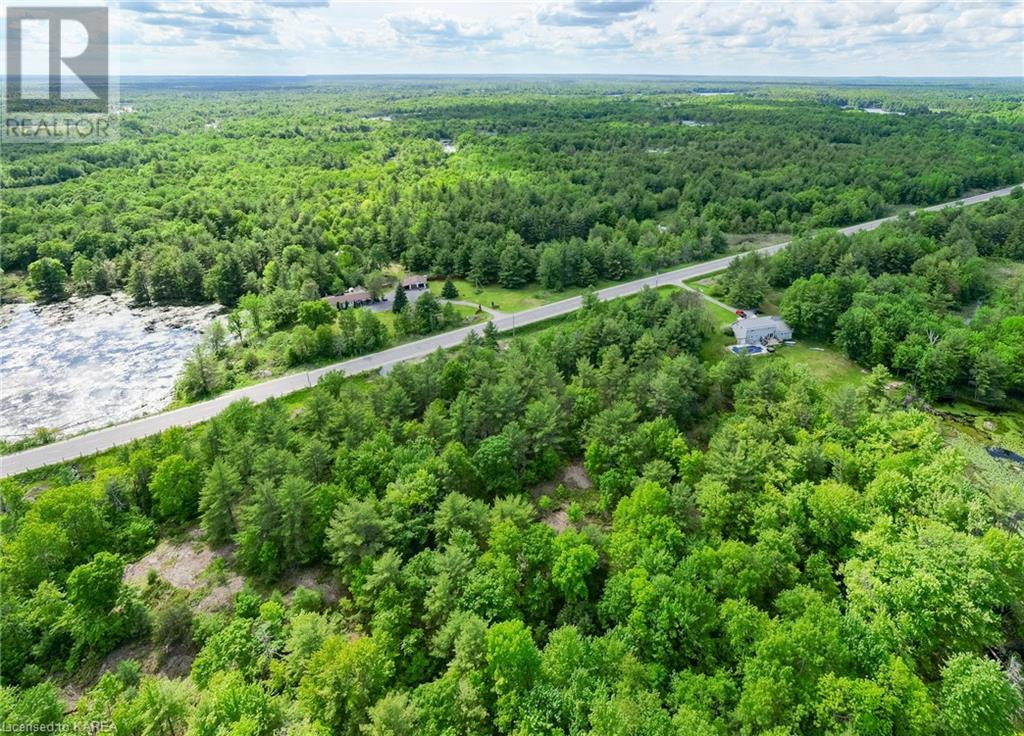 9804 Highway 38, Godfrey, Ontario  K0H 1T0 - Photo 9 - 40638954