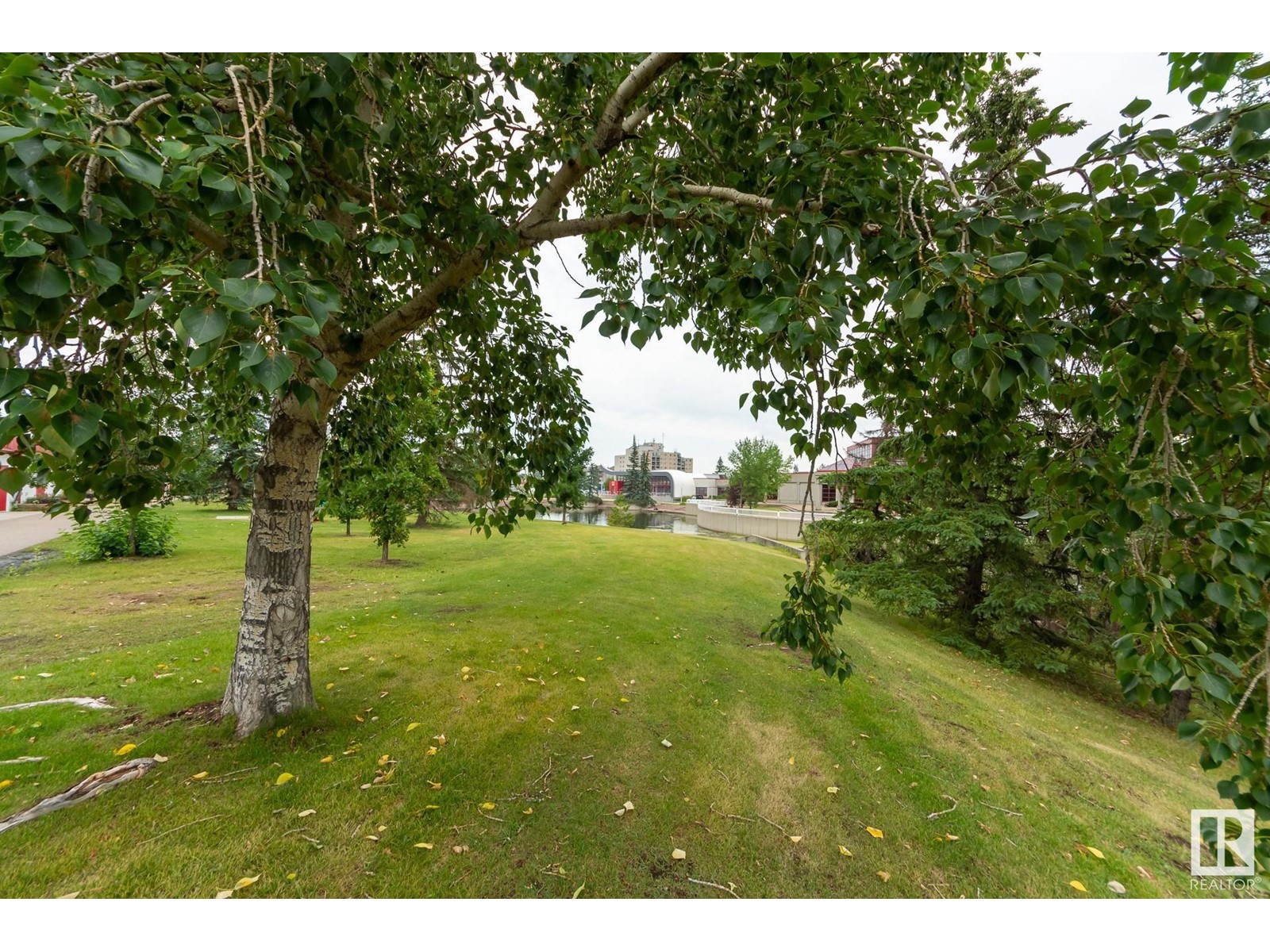 5109 47 Av, Leduc, Alberta  T9E 5C6 - Photo 26 - E4404085