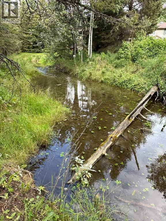 197, 200 4th Avenue Sw, Sundre, Alberta  T0M 1X0 - Photo 18 - A2160576