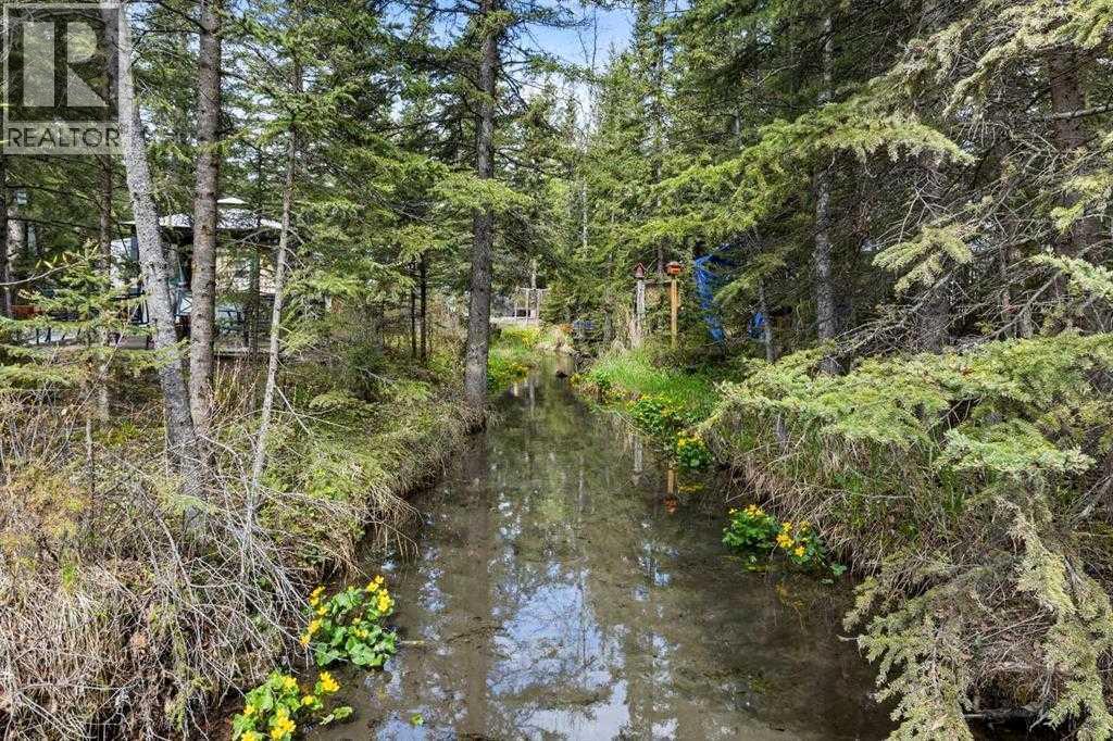 197, 200 4th Avenue Sw, Sundre, Alberta  T0M 1X0 - Photo 37 - A2160576