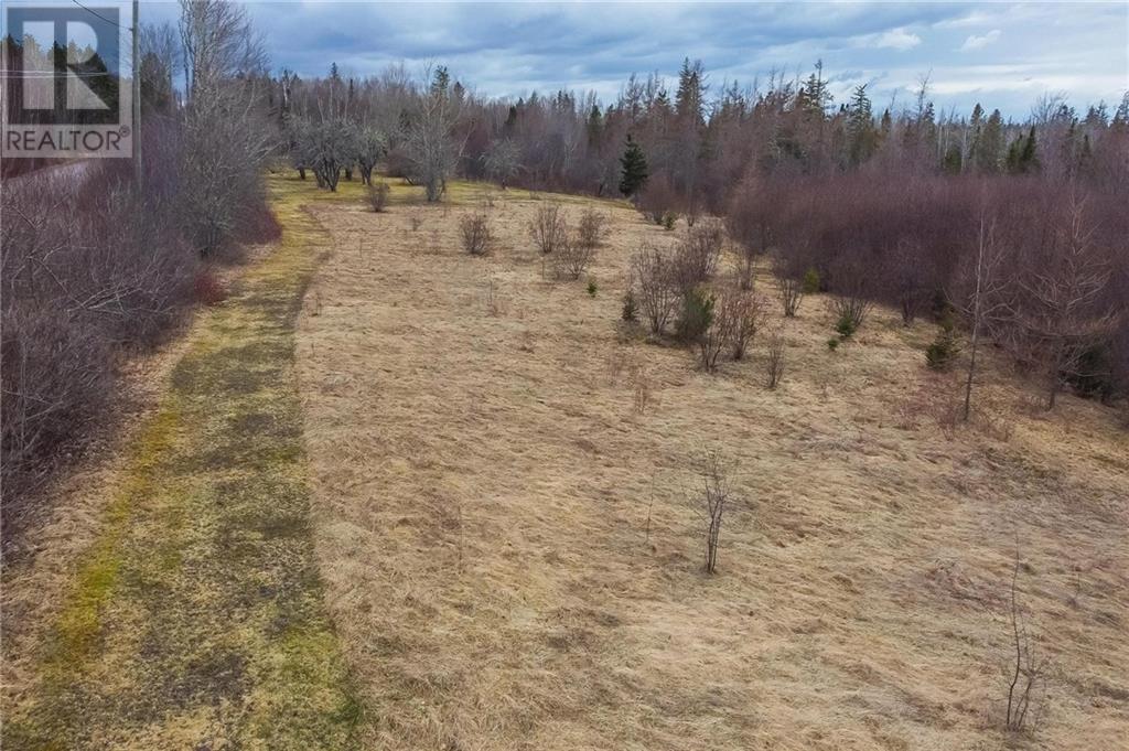 Lot 84-2 New Scotland Road, New Scotland, New Brunswick  E1G 3L3 - Photo 33 - M158234