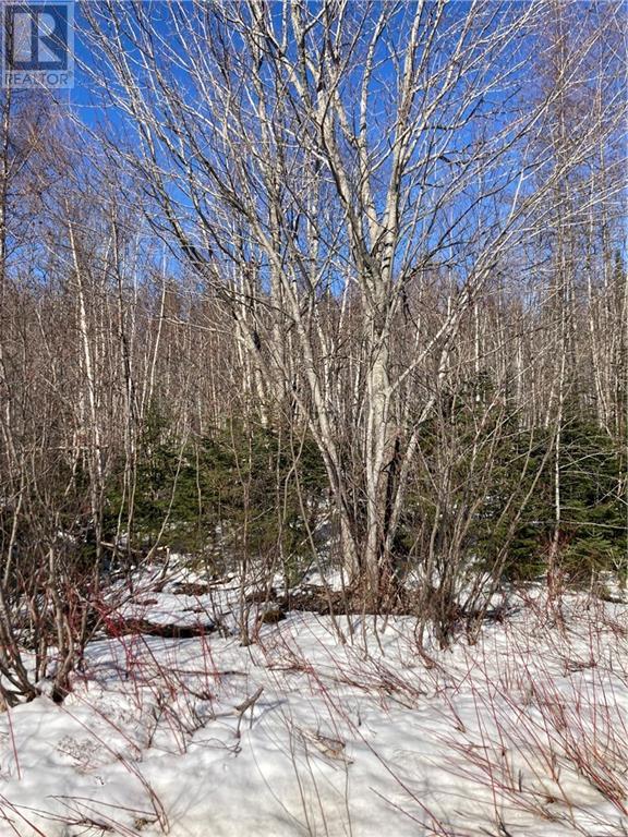 Lot Route 134, Bathurst, New Brunswick  E8L 1S3 - Photo 7 - M158329