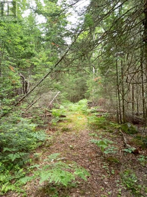 Lot 10 Richibuto Road, Noonan, New Brunswick  E4A 7H4 - Photo 22 - M158340