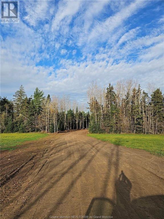 Lot 23-2 De La Paix, Sainte-Marie-De-Kent, New Brunswick  E4S 2L8 - Photo 7 - M158468