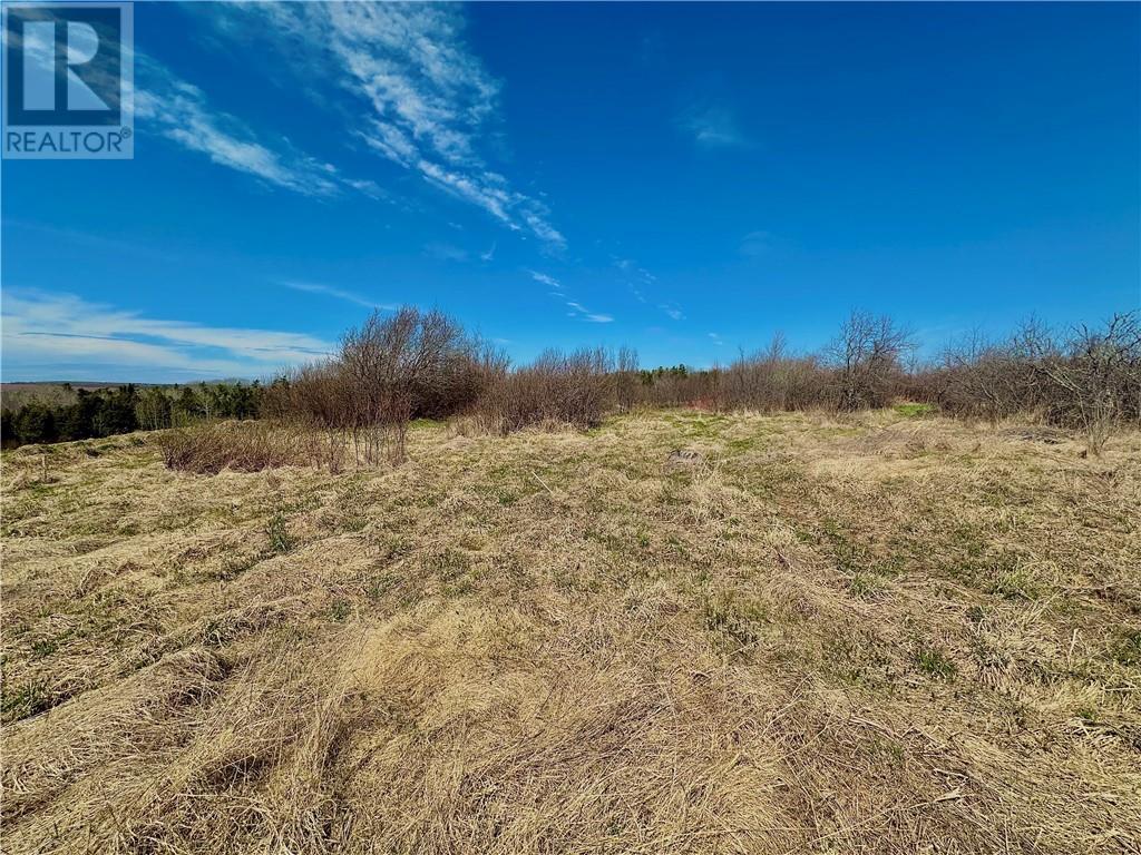 Lot Route 890, Hillgrove, New Brunswick  E4G 2R8 - Photo 2 - M158986