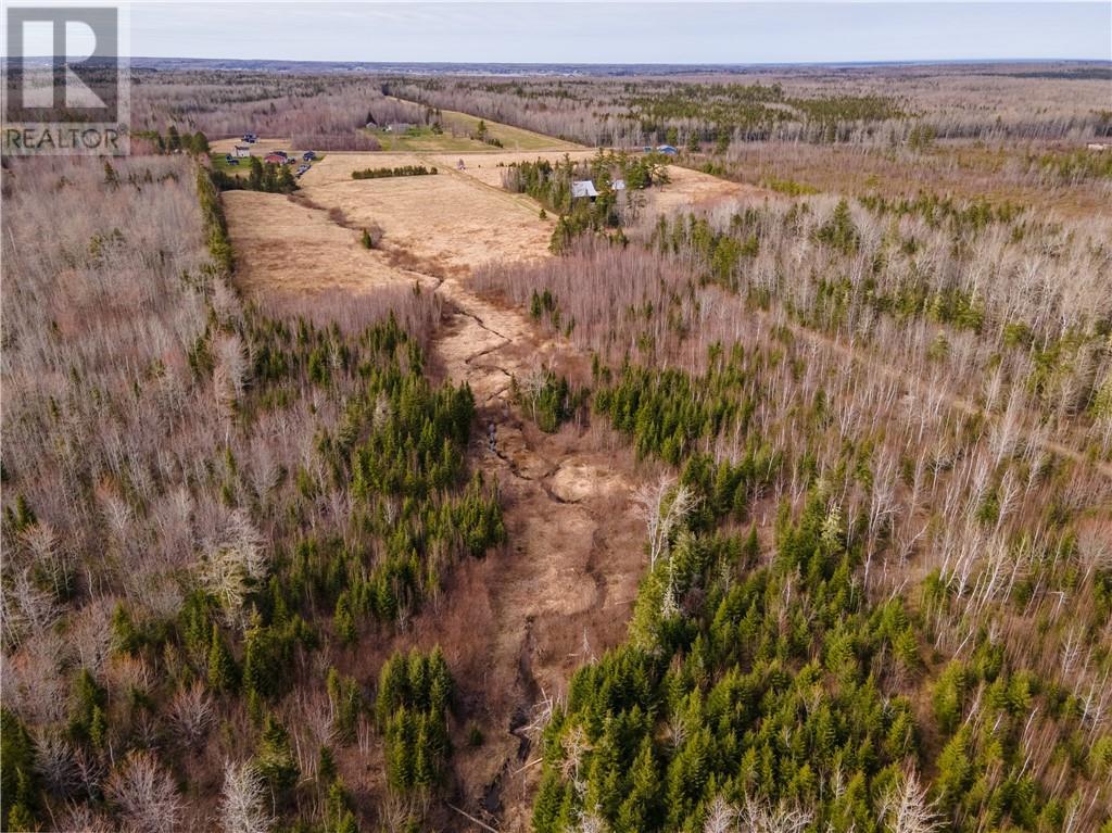 Lot Macdougall Settlement Road, Macdougall Settlement, New Brunswick  E1H 3H4 - Photo 38 - M158992