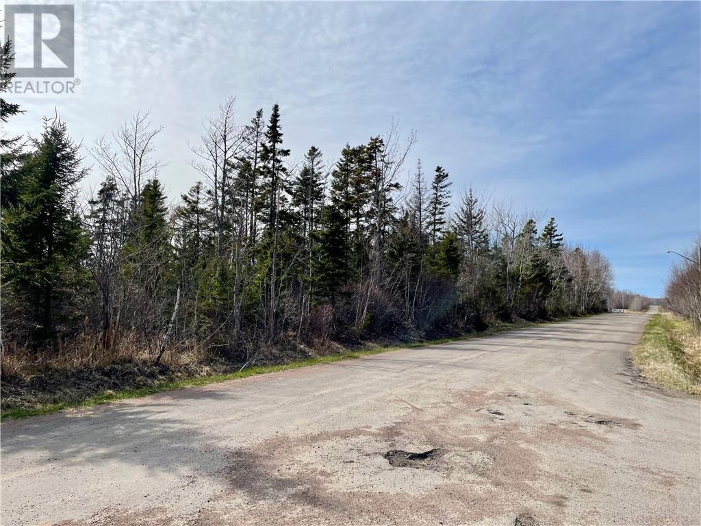 Lots Ch De L'ile Road, Petit-Cap, New Brunswick  E4N 2G6 - Photo 33 - M159040