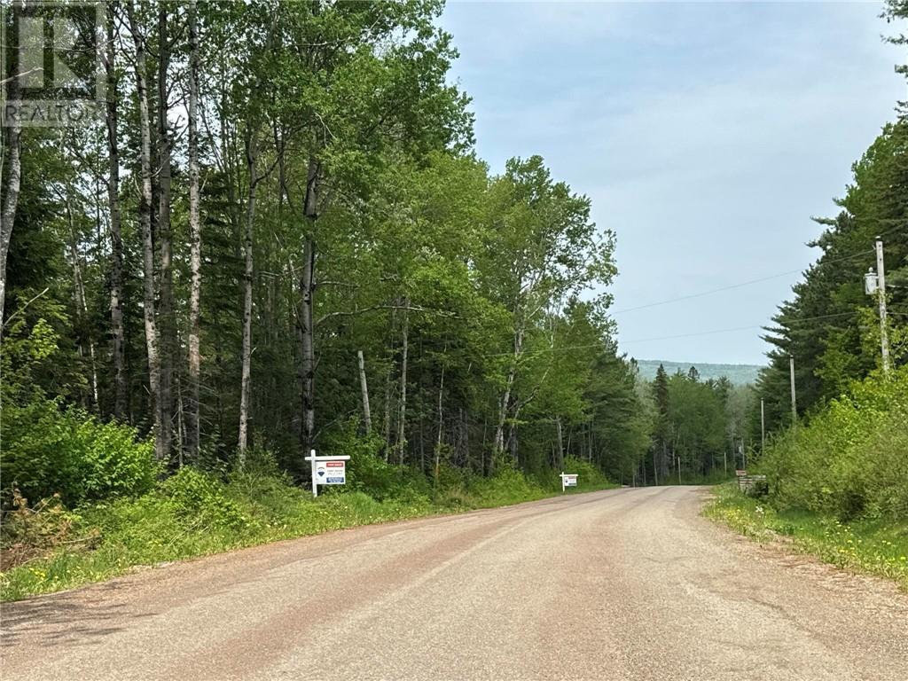 Lot B Davidson Road, Anagance, New Brunswick  E4Z 1C9 - Photo 1 - M159089