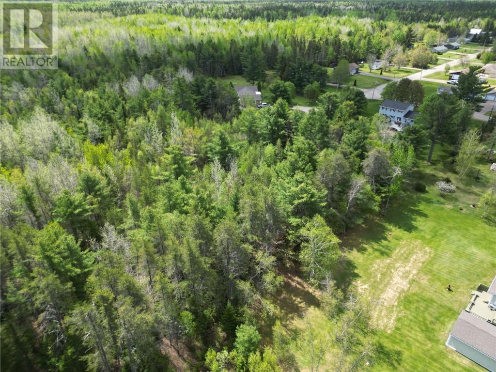 Lot 97-1 Des Pins, Saint-Charles, New Brunswick  E4W 4M1 - Photo 3 - M159585