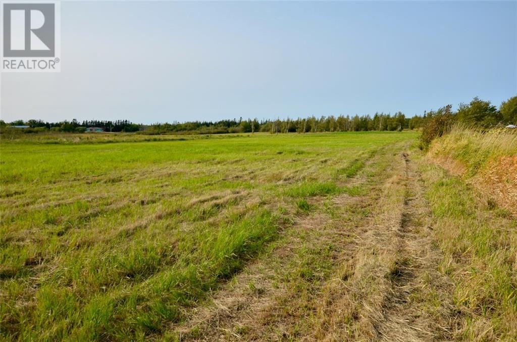 Lot 95-1 Route 960, Cape Spear, New Brunswick  E4M 1S8 - Photo 16 - M159612