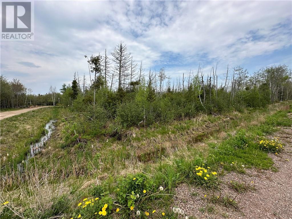 Lot 75-11 Gite, Grand-Barachois, New Brunswick