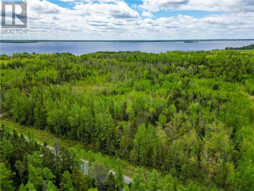 Lot 21-3 Oak Point Road, Oak Point, New Brunswick  E1V 7K4 - Photo 5 - M159852