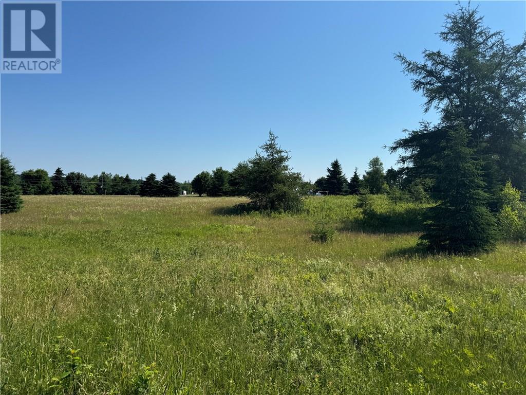 Vacant Lot Gray Rd, Saint-Ignace, New Brunswick  E4X 2G1 - Photo 2 - M160155