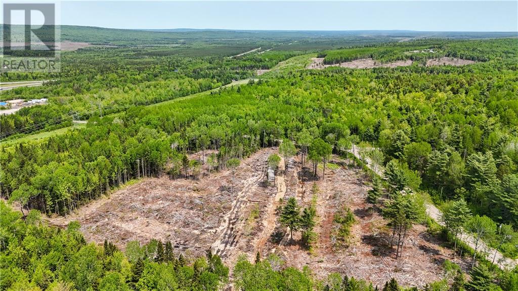 Lot 2 Route 895, Anagance, New Brunswick  E4Z 1E1 - Photo 12 - M160208