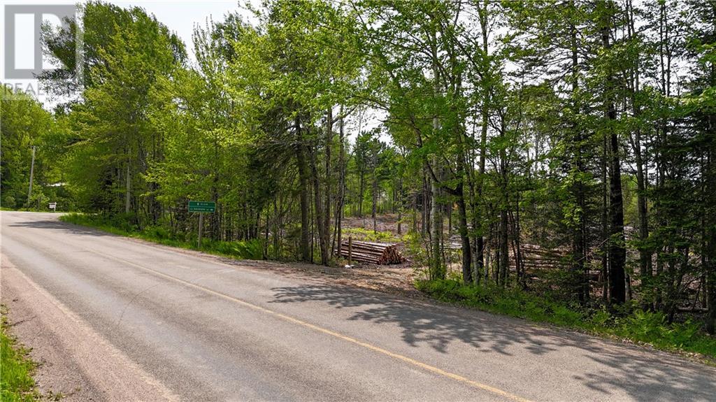 Lot 2 Route 895, Anagance, New Brunswick  E4Z 1E1 - Photo 1 - M160208