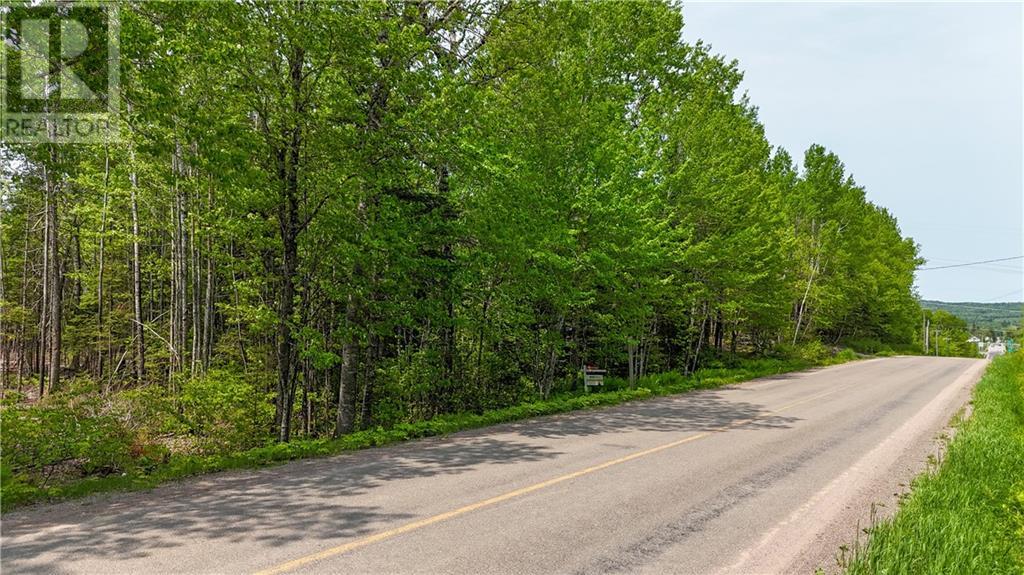 Lot 2 Route 895, Anagance, New Brunswick  E4Z 1E1 - Photo 2 - M160208