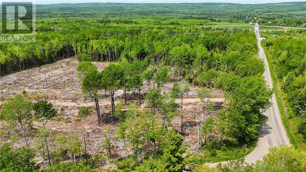 Lot 2 Route 895, Anagance, New Brunswick  E4Z 1E1 - Photo 15 - M160208