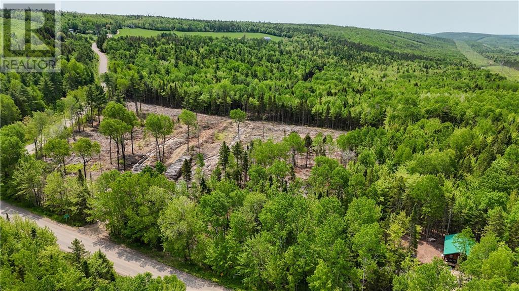 Lot 2 Route 895, Anagance, New Brunswick  E4Z 1E1 - Photo 13 - M160208