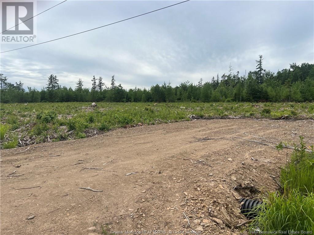 Lot 23-3 Hannay Road, Galloway, New Brunswick  E4W 2M4 - Photo 5 - M161084