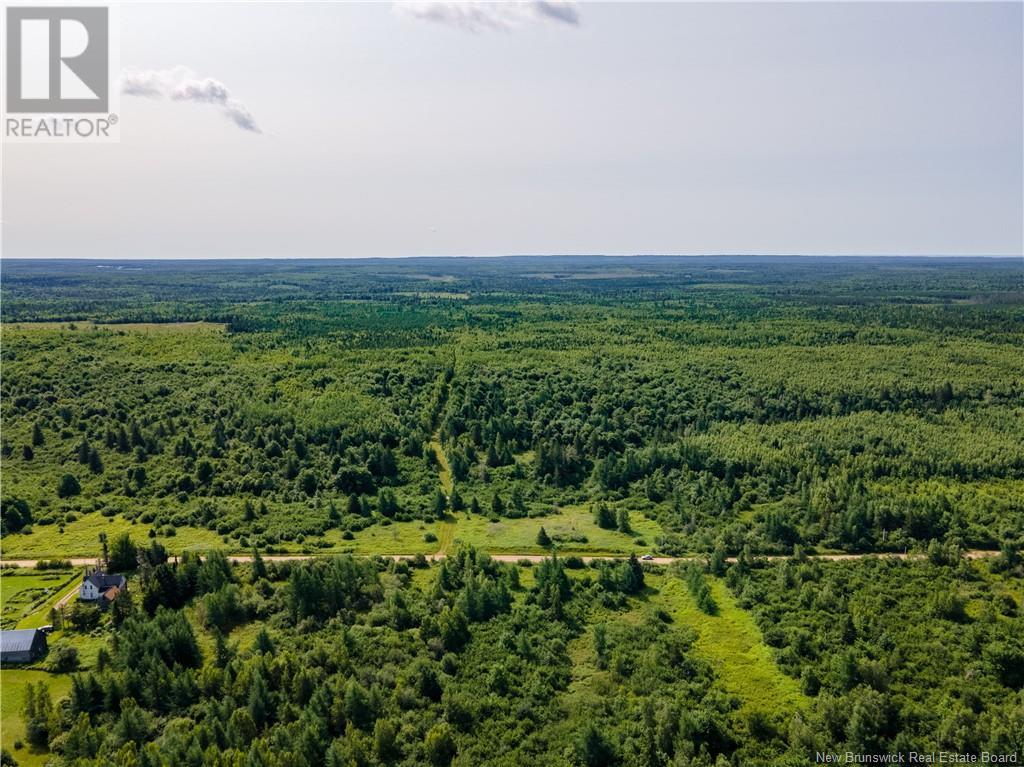 Lot Cormier Settlement Road, Dundas, New Brunswick  E4T 3G7 - Photo 3 - M161158