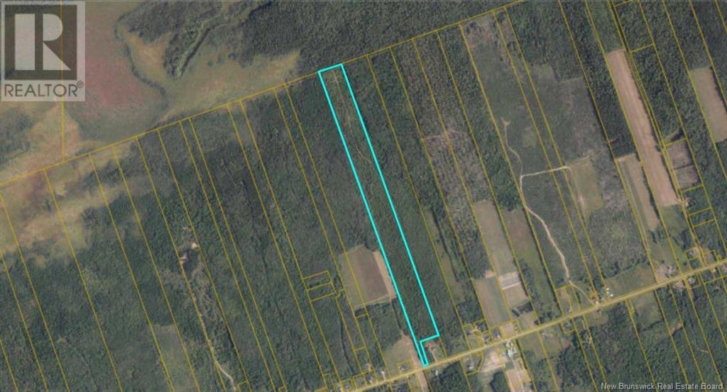 Lots Rte 480, Acadieville, New Brunswick  E4Y 2C3 - Photo 2 - M161606