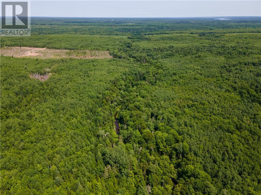 Lot 53 Alexandrina Road, Notre-Dame, New Brunswick  E4H 2H5 - Photo 5 - M161693