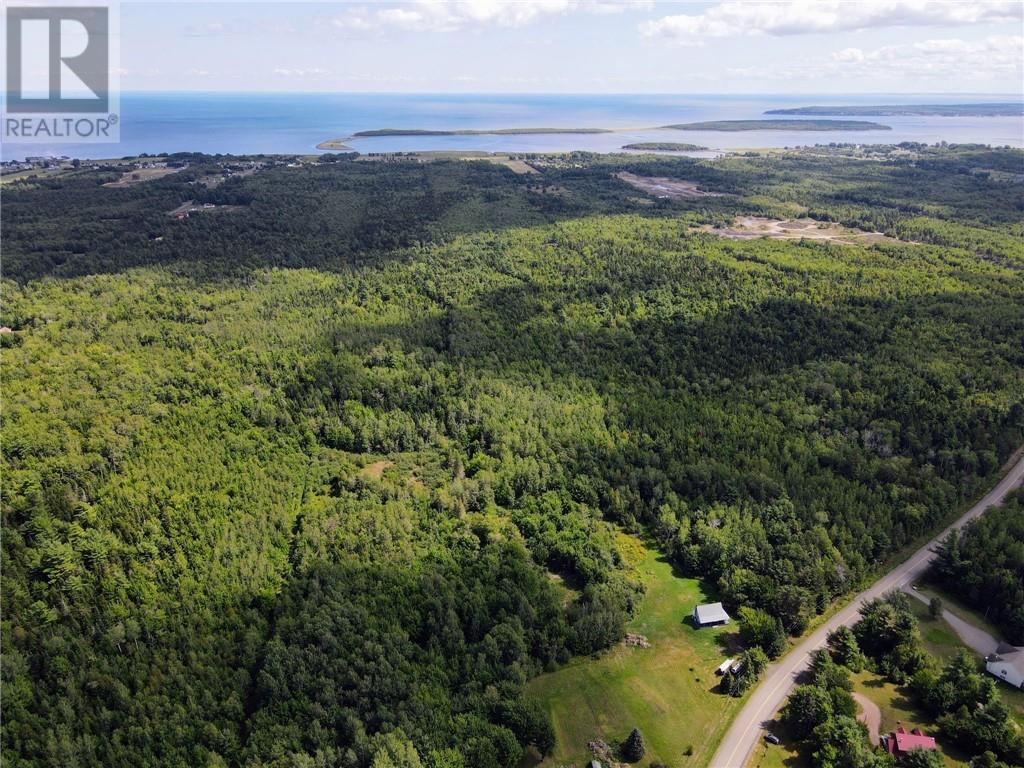 Lot-1 Route 134, Dundas, New Brunswick  E4R 2Z1 - Photo 4 - M161787