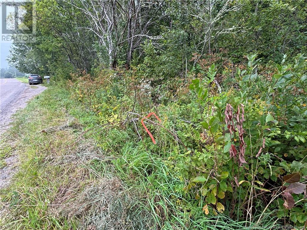 Lot 75-5 Hall Road, Lakeside, New Brunswick  E5N 7H1 - Photo 17 - NB104800