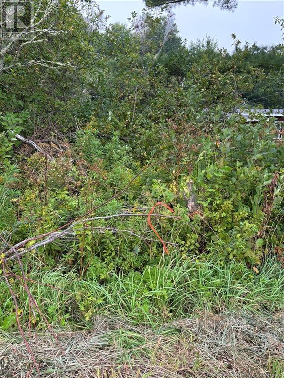 Lot 75-5 Hall Road, Lakeside, New Brunswick  E5N 7H1 - Photo 15 - NB104800