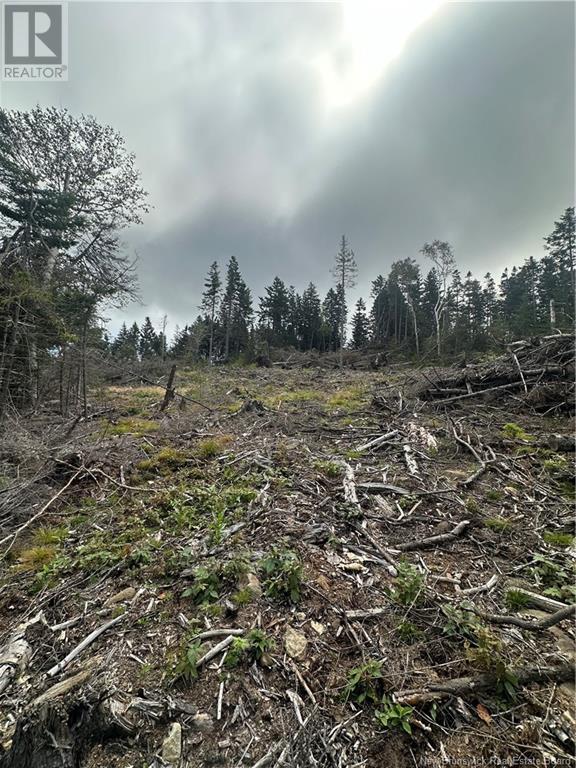 Lot 1 Hill Road, Grand Manan Island, New Brunswick  E5G 1E5 - Photo 8 - NB104843