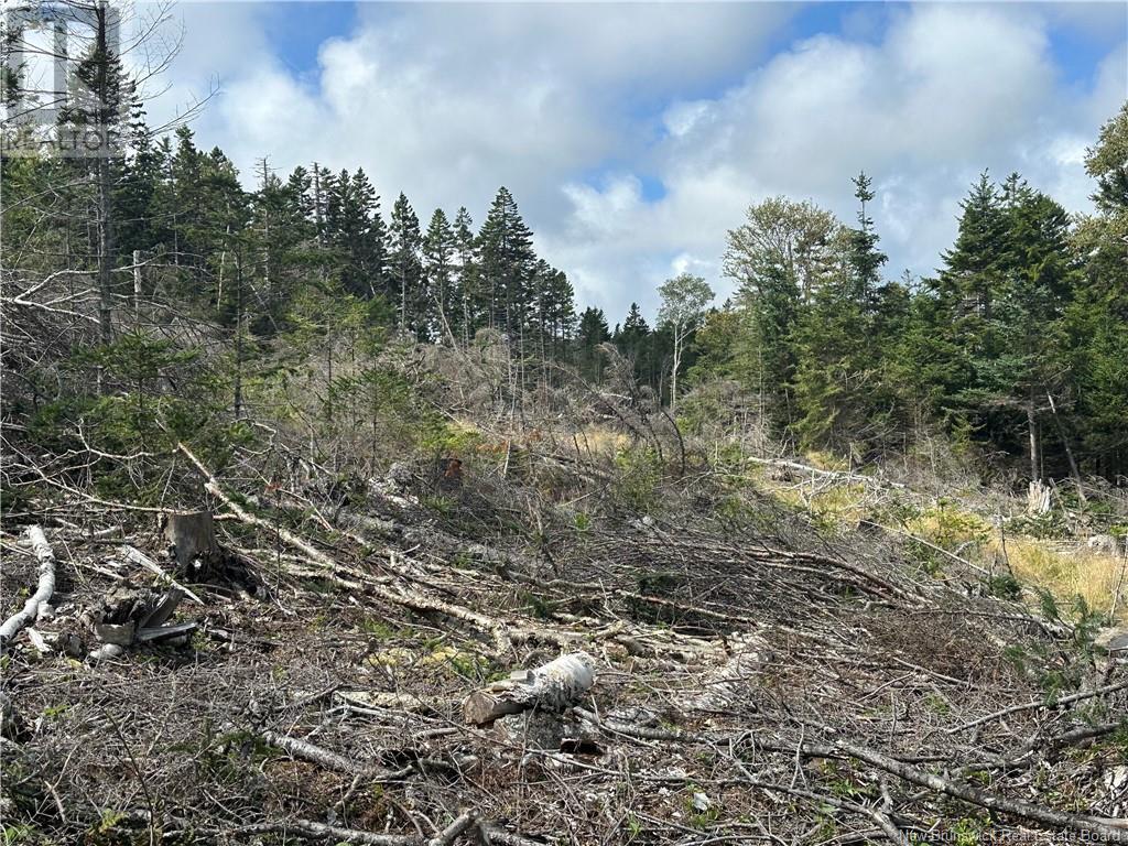 Lot 2 Hill Road, Grand Manan Island, New Brunswick  E5G 1E5 - Photo 2 - NB104856