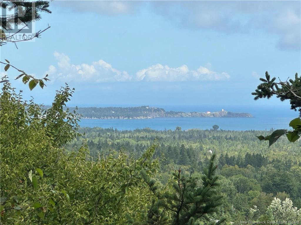 Lot 2 Hill Road, Grand Manan Island, New Brunswick  E5G 1E5 - Photo 13 - NB104856