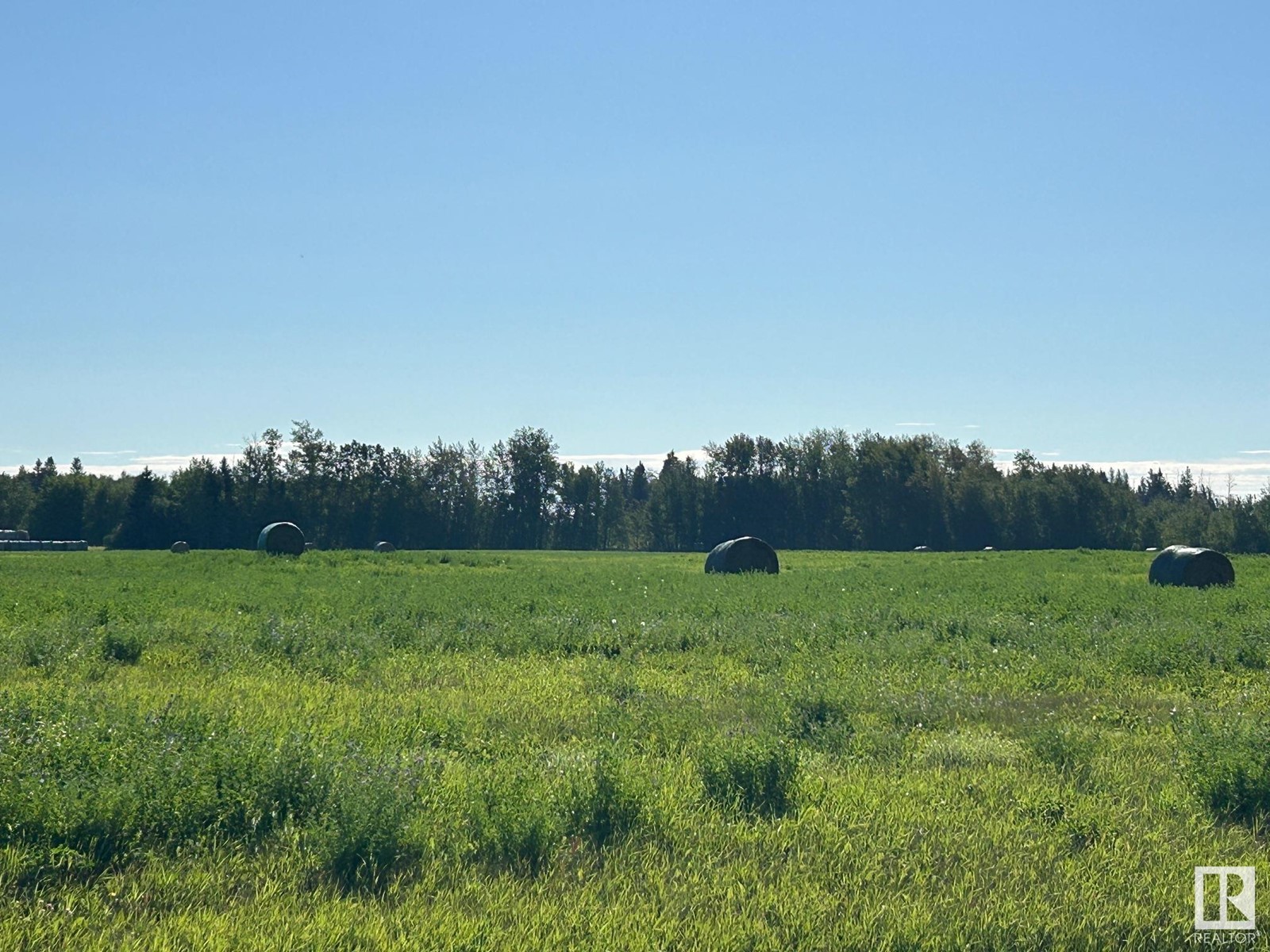 Rr 231 Twp Rd 602, Rural Thorhild County, Alberta  T0A 3J0 - Photo 10 - E4404158