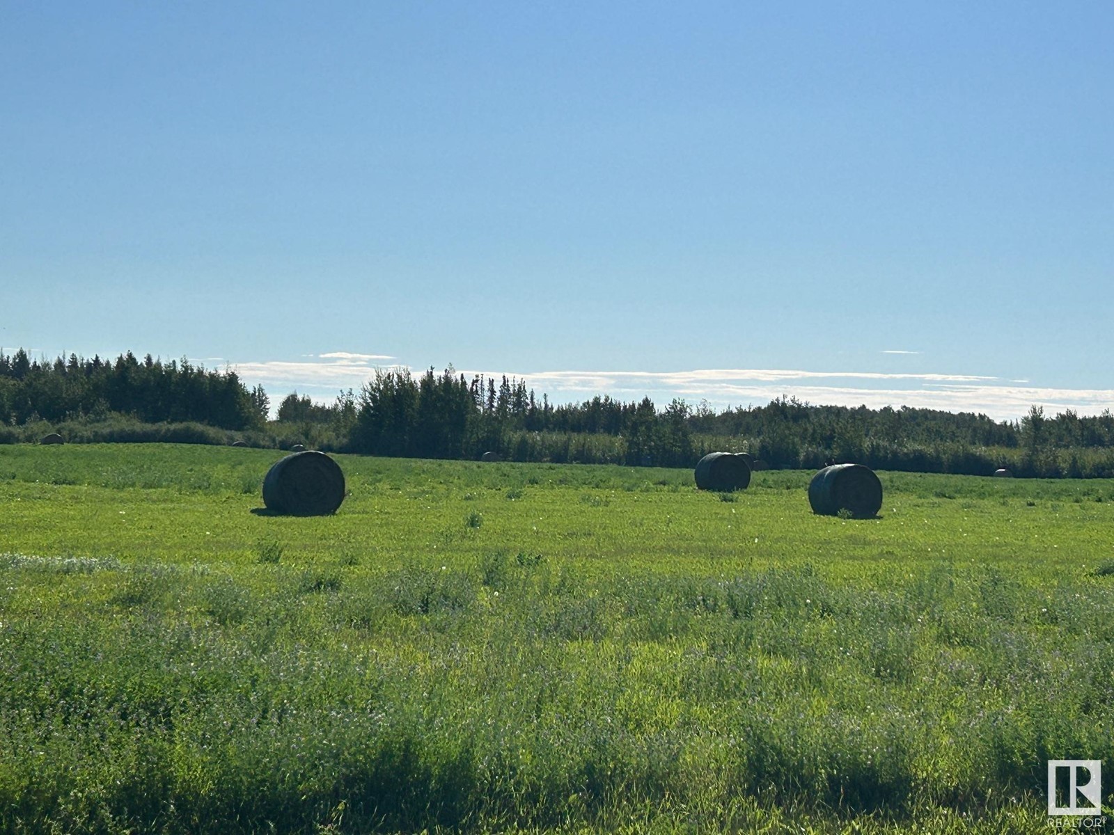 Rr 231 Twp Rd 602, Rural Thorhild County, Alberta  T0A 3J0 - Photo 12 - E4404158