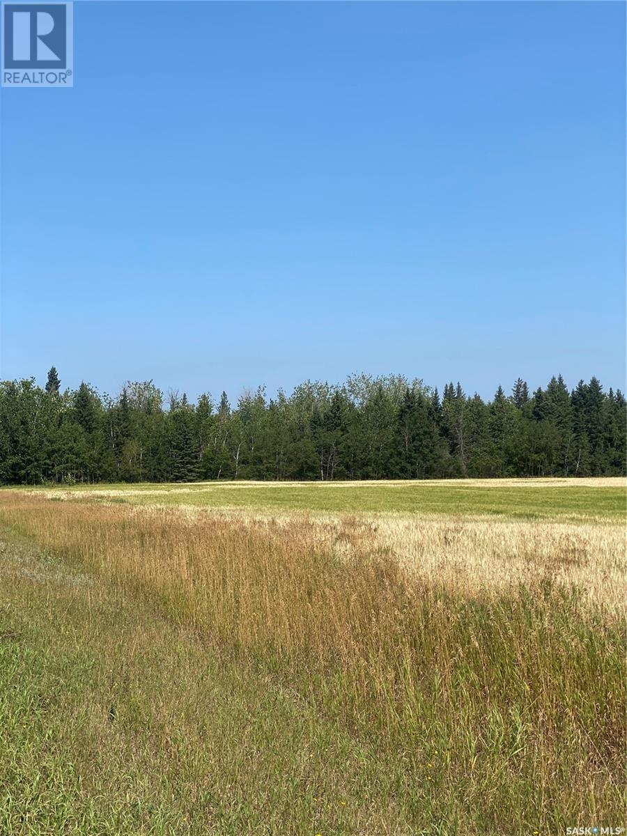 Acorn Road Acreage Lot, Buckland Rm No. 491, Saskatchewan  S0J 2N0 - Photo 4 - SK982198