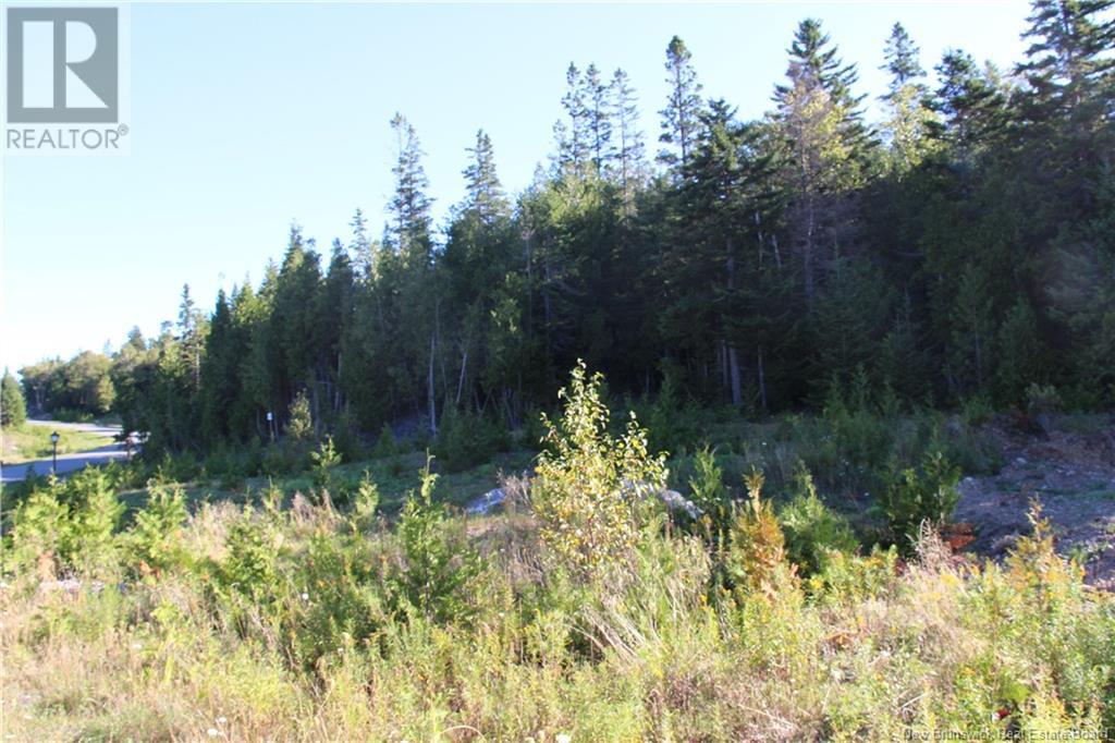 Property at 00 Drury Cove Road image 2